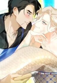 The First Love Of The Sushi Restaurant Owner Is A …