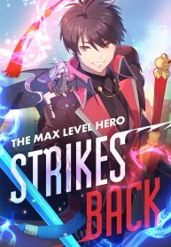 The Max Level Hero Strikes Back