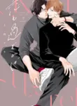 koi_mo_sugireba.webp