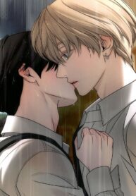 FEVER (Yaoi)