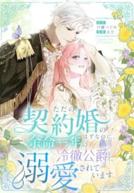 I Thought It Was Just an Ordinary Contract Marriage