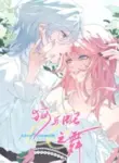 about_summer