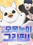 hello_griffin_the_fluffy_bird