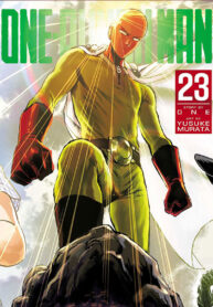 One Punch Man, onepunchman