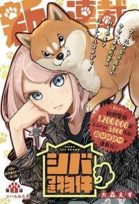 shiba_inu_rooms