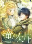 the_dragon_s_fragments