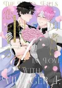 the_hero_falls_in_love_with_villager_a